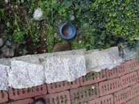 DSC03533.webp