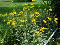 DSC03540.webp