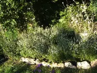 BILD0316.webp