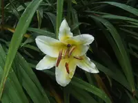 BILD0334.webp