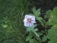 BILD0288.webp