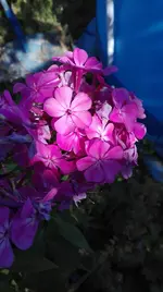 IMG_20180725_100034.webp