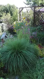 IMG_20180725_095857.webp