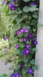IMG_20180725_095734.webp