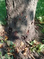 Bild 1.webp Bild 1.webp