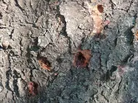 Bild 3.webp Bild 3.webp