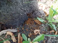 Bild 4.webp Bild 4.webp