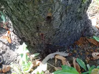 Bild 5.webp Bild 5.webp