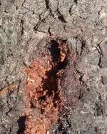 Bild 6.webp Bild 6.webp