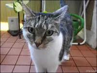 c016.webp