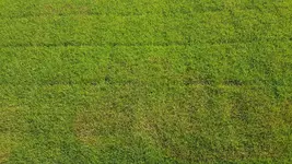 20180724_181001_resized_1.webp