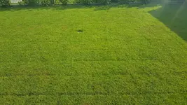 20180724_181004_resized_1.webp