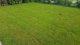 20180724_181015_resized_1.webp