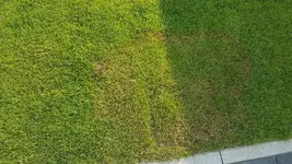 20180724_181012_resized_1.webp