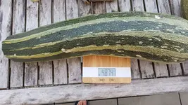 IMG-20180726-WA0008.webp