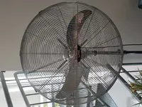 15326294098986327326524621874880.webp