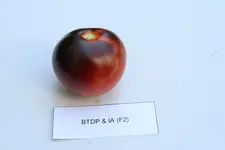 IMG_5387.jpg