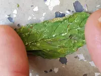 20180727_083428.webp
