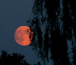 full moon_Vollmond1_900.JPG