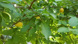 20180713_200716.webp