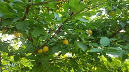 20180713_200706.webp