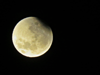IMG_0599 - Copy.JPG