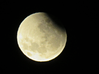 IMG_0604 - Copy.webp