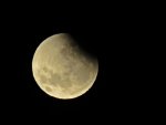 IMG_0605 - Copy.JPG