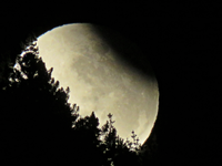 IMG_0612 - Copy.webp