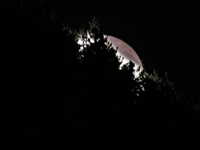 IMG_0614 - Copy.webp