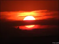 c031.webp
