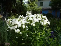 0702EF7B-4F1A-4392-87D6-CC2CB2A66C2F.webp