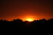 DSC06899.webp