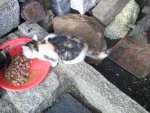 PIC_0863.jpg