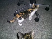 PIC_0869.webp