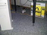 PIC_0871.webp