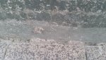 IMG-20180724-WA0013.jpg