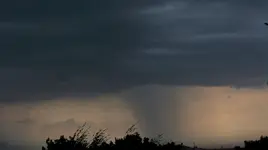 Regen.webp