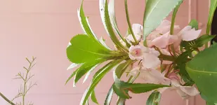 20180729_120755.webp