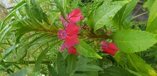 20180728_110453.webp