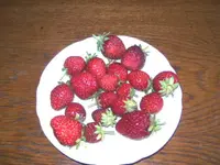 BILD0429.webp