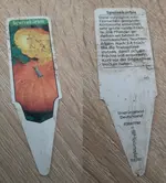 Kürbis 4 - Schilder.webp