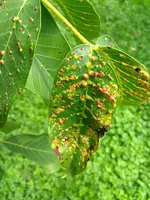 IMG_20180730_141007313.webp