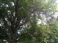 IMG_20180730_141108664.webp