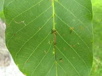 IMG_20180730_141208450.webp