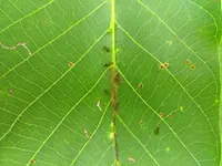 IMG_20180730_141213012.webp