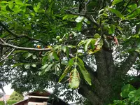 IMG_20180730_141258952.webp