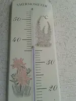 Thermometer 29.07.2018.jpg