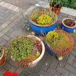 20180618_182937.webp