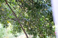DSC_1479 (2).webp